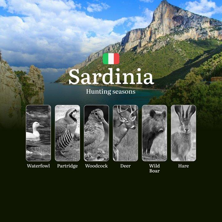 Sardinia's Wild Boar Hotspots: Moonlight Hunting Dates in the Gennargentu Mountain Strongholds, Tips and Secrets