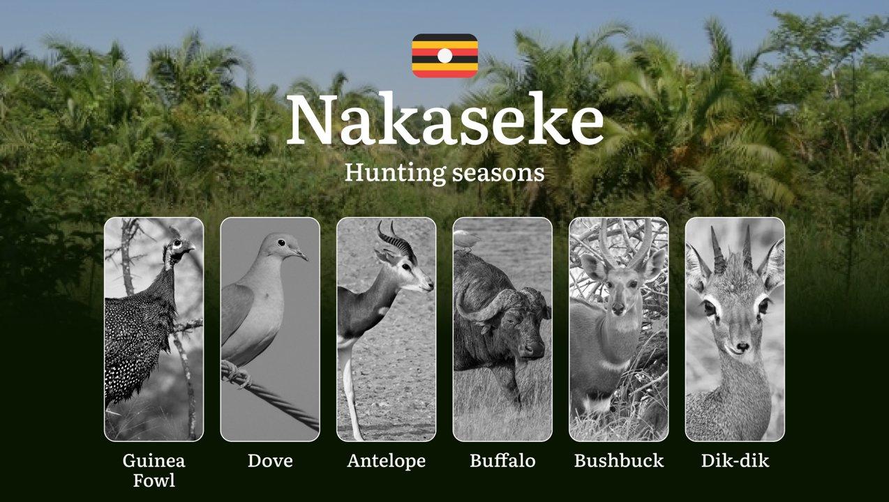 Permitted Hunting Intervals in Nakaseke: Year-Round Huntable Wildlife, Seasonal Migration of Game, and the Process for Securing a Legal Hunting Permit

Planning your hunt