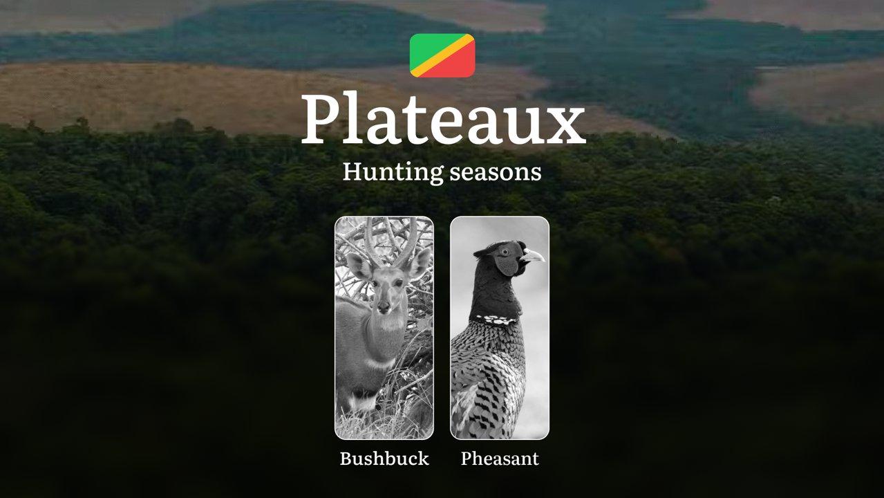 Hunting Time in the Republic of Congo, Plateaux Region: Hunting Periods, Open and Close Dates, Licenses, Rules, and Dates for Hunting