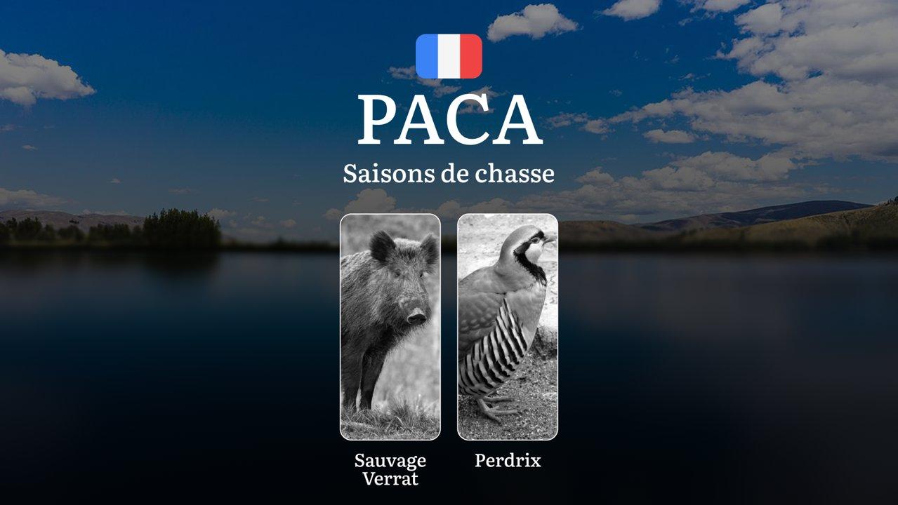 Saisons de Chasse en PROVENCE-ALPES-CÔTE D'AZUR: Calendrier Officiel, Réglementation Locale, Spécificités Saisonnières et Périodes Principales