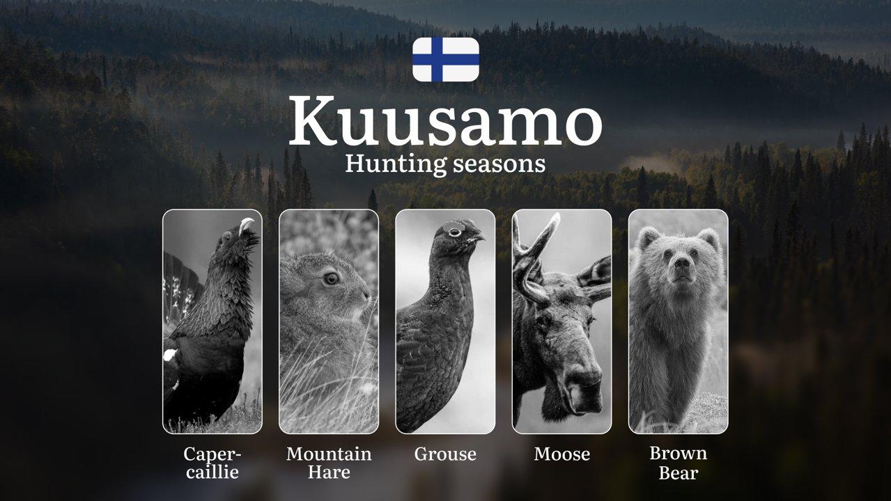 Hunting Seasons in KUUSAMO: Key Dates, Optimal Hunting Periods, Vital Regulations, Licensing Process and Requirements

Nestled in Finnish Lapland, Kuusamo offers hunters 