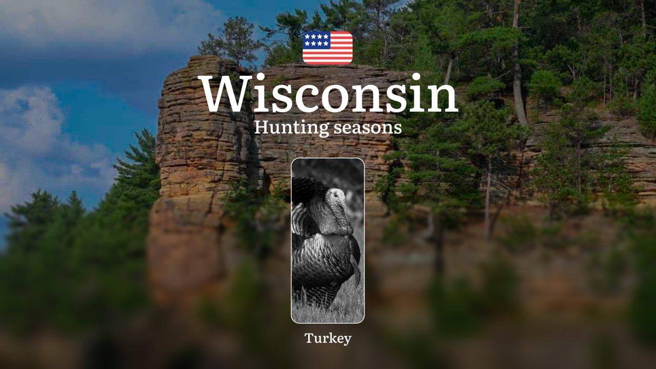 USA, Wisconsin Region: Hunting Seasons, Seasonality, Regulations and Licensing for Turkey Hunting

Turkey hunting in the state of Wisconsin is a popular activity among lo
