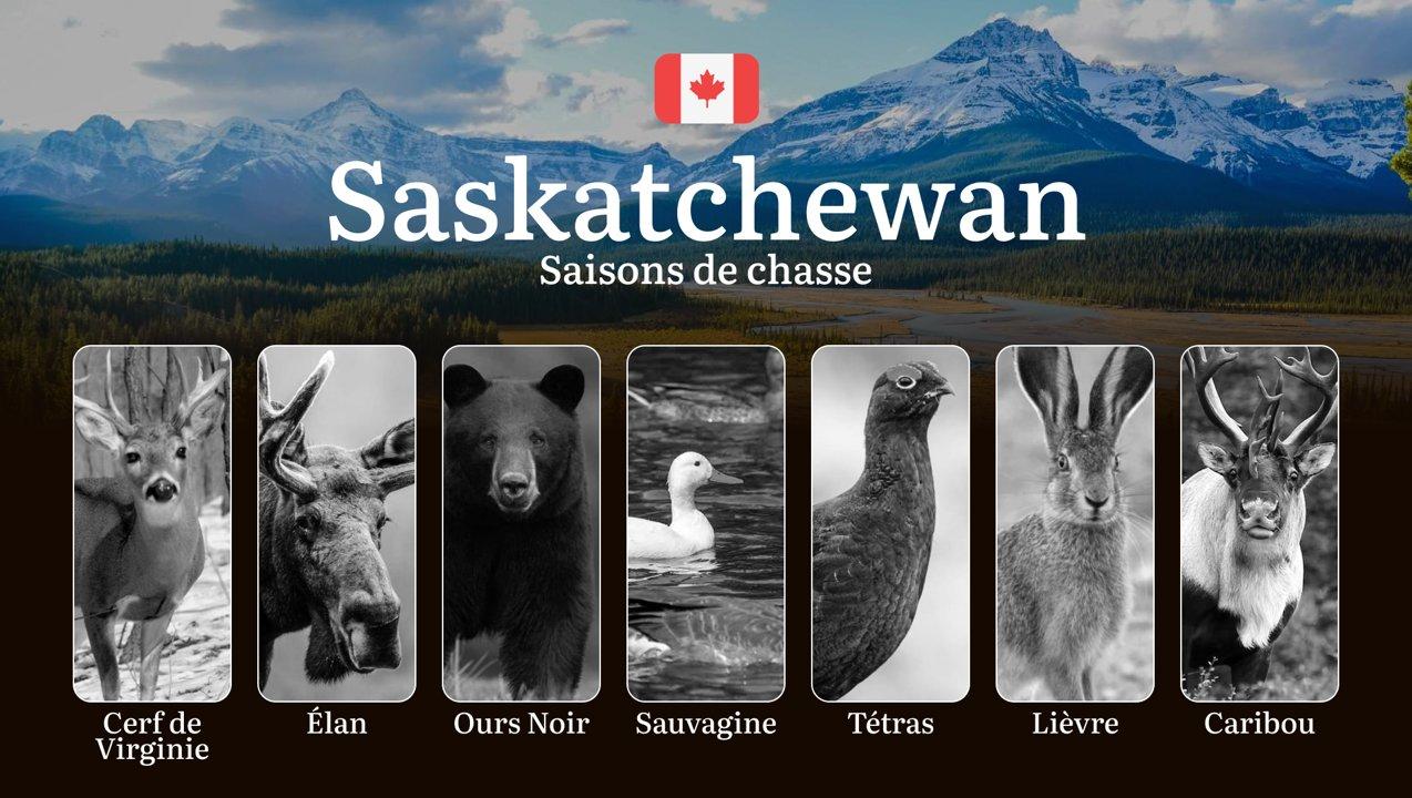Les Périodes <strong>de</strong> Chasse en SASKATCHEWAN (Canada): Découvrez les Saisons Clés, Maîtrisez les Règles et Profitez des Meilleurs Moments pour des Aventures <s