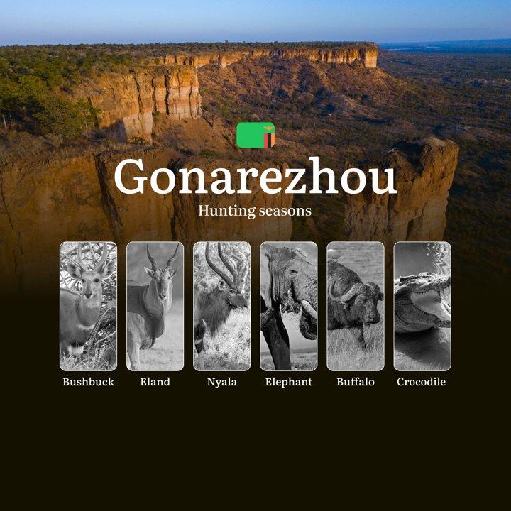 Seasons of the Hunt: Gonarezhou's May-to-October Hunting Calendar - Where Elephants, Buffalo and Ancient Baobabs Dictate the Rules
