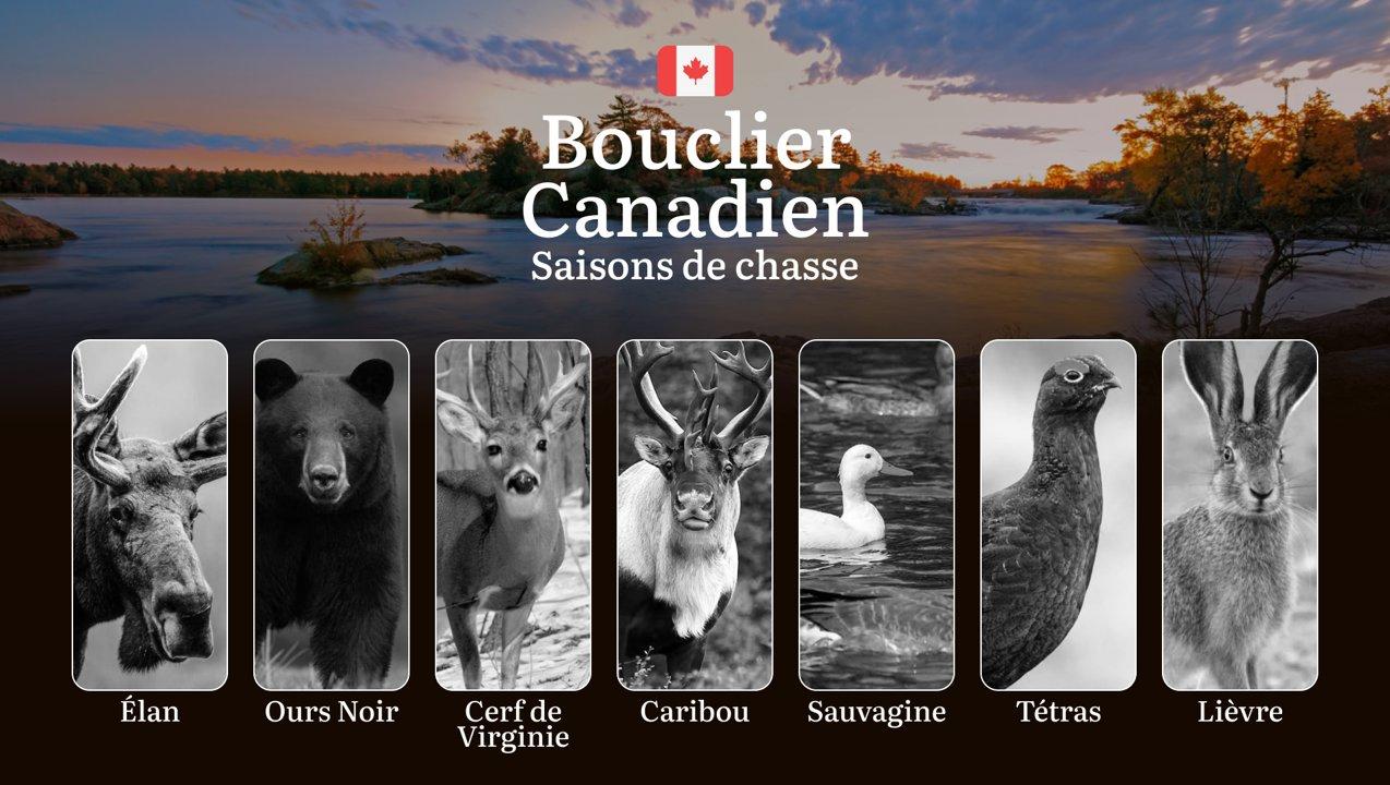 Les Saisons de Chasse dans le BOUCLIER CANADIEN: Dates Clés, Réglementation et Conseils Pratiques pour les Chasseurs