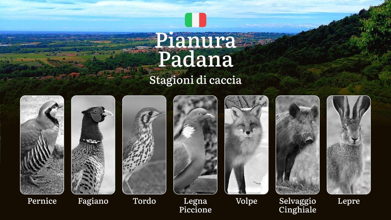 Caccia in Pianura Padana: Stagioni per Fagiani, Starne e Anatidi tra Coltivazioni e Zone Umide