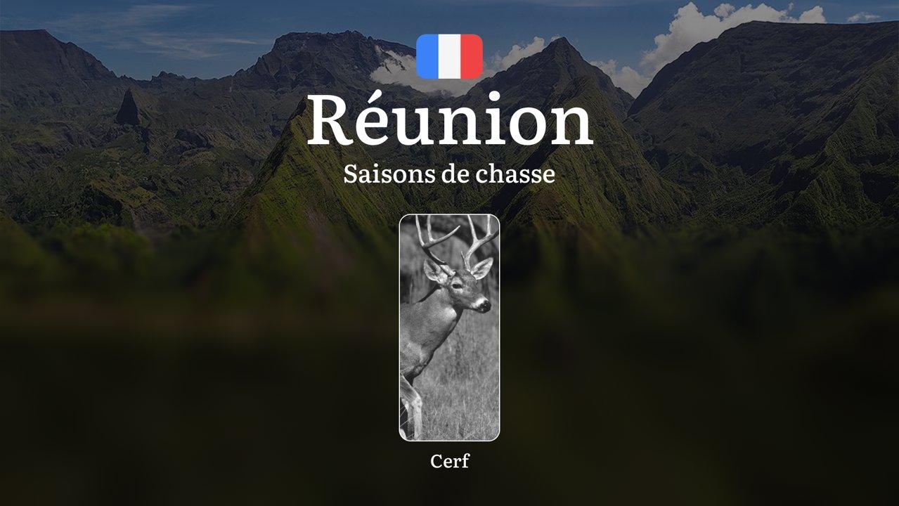 Saisons de chasse en RÉUNION: Dates Clés, Réglementations Générales, Spécificités Saisonnières, Procédure d'Obtention des Permis et Stratégies Optimales