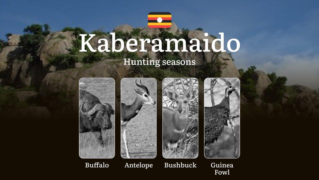 Scheduled Hunting Times in Kaberamaido: Area Regulations, Steps to Obtain a Hunting License, Sanctions for Breaching Hunting Periods, Tips on Timing, Gear Selection, and 