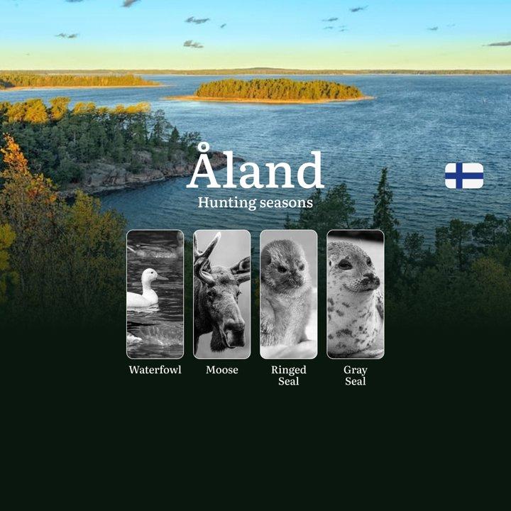 Maritime Hunting in ÅLAND: Seasons, Regional Specifics, Game Activity,  Legal Restrictions and Vital Rules