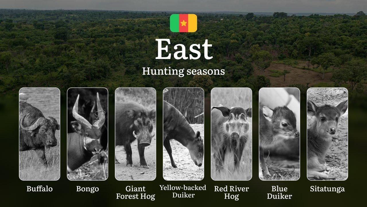 Hunting Calendar in East: The Thrill of Hunting Events and Traditions, Legislation & General Hunting Rules and Permits

Hunting Seasons and Regulatory Framework in the Ea