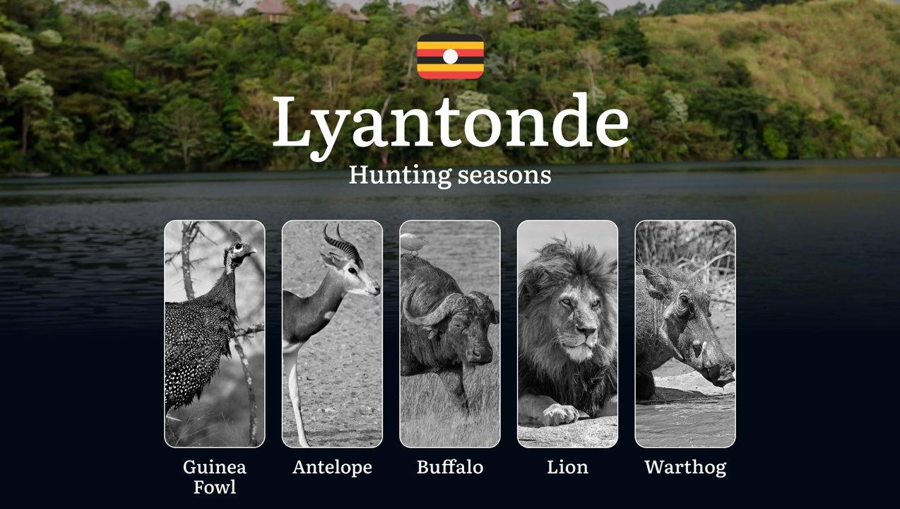 Hunting Date Ranges in Lyantonde: Hunting Periods, Legal Limits and Seasonal Bans, Licensing Rules, Fines and Consequences, Strategic Planning, Timing, Equipment

Lyanton