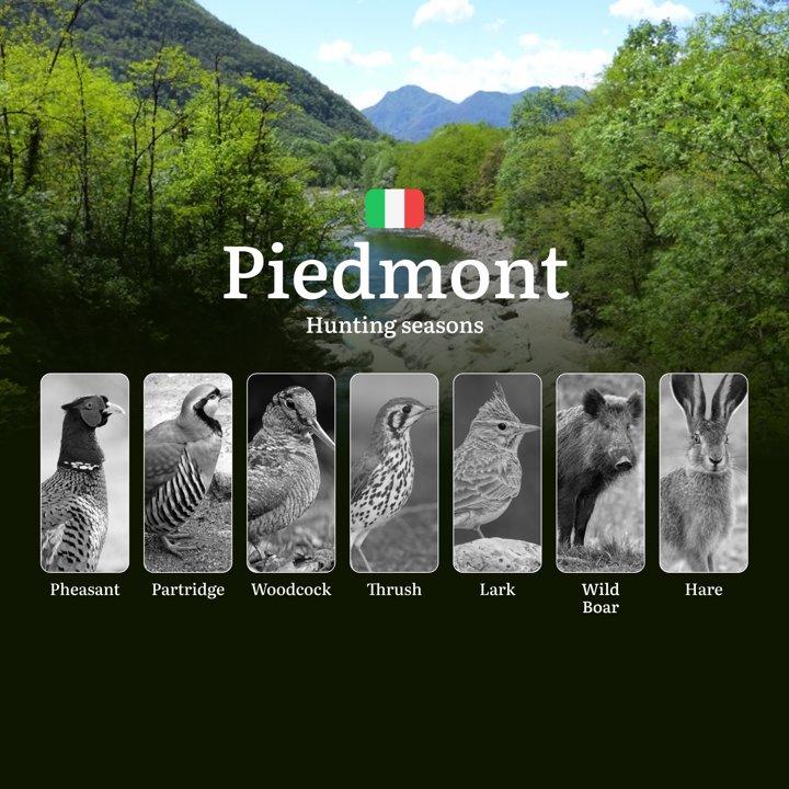 Piedmont Hunting Calendar: Elevation-Based Season Dates and Western Alps <strong>Trophy</strong> Tips

Piedmont, with its diverse landscapes ranging from the Alps to the 