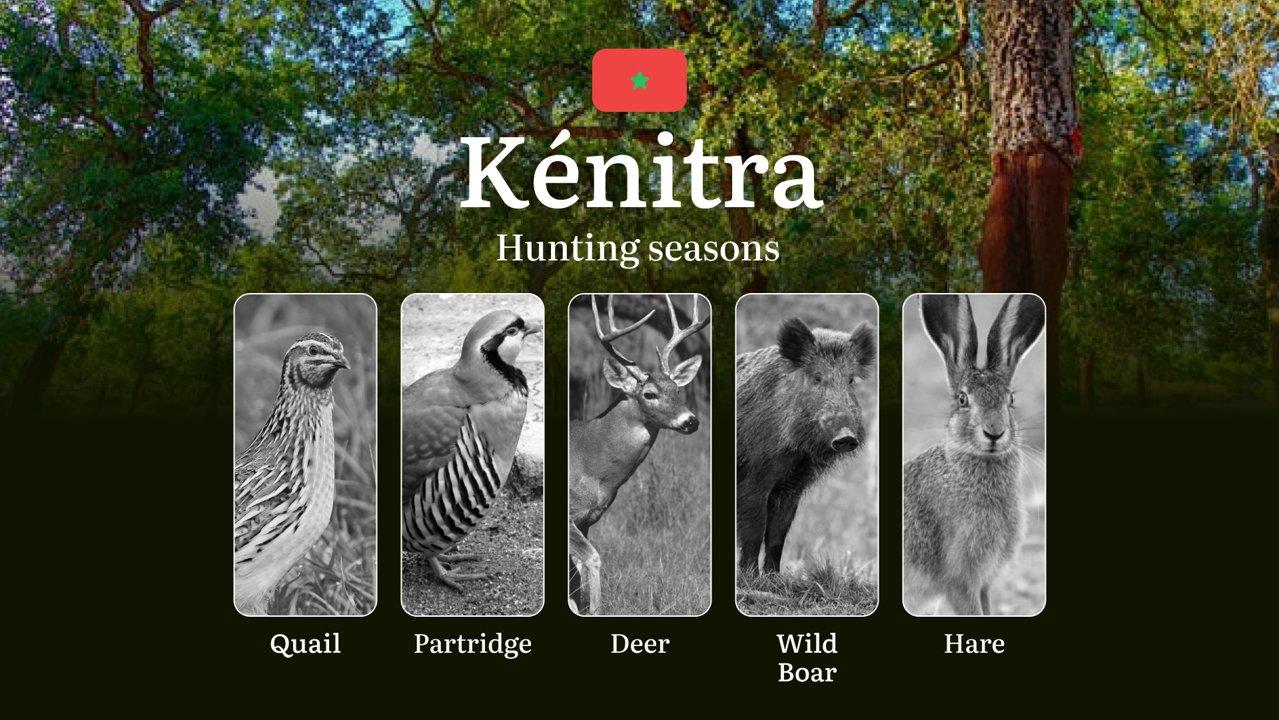 Hunting Seasons in Kénitra: Regulations, Permits, and Best Times for Hunting 

Hunting in Kénitra offers diverse opportunities for enthusiasts, with carefully regulated s