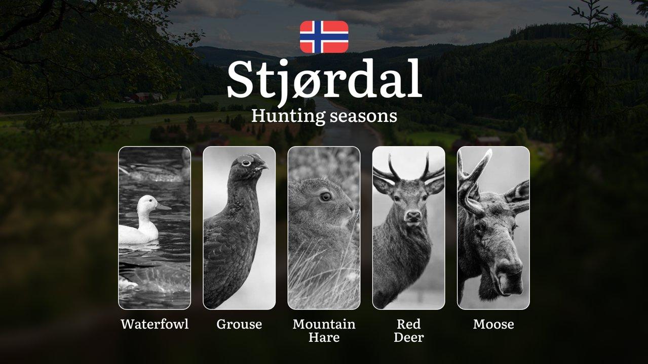 Hunting Seasons in Stjørdal: Regulations, Permits, and Time for Hunting, Documents and Organizations

Planning your hunt in Stjørdal? Knowing the exact hunting seasons, l
