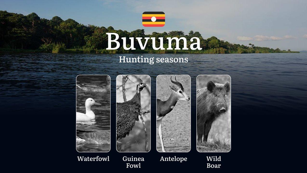 Buvuma: Designated <strong>Hunting</strong> Periods, Legal Limits and Seasonal Restrictions, Licensing Rules, Penalties for Violations, Planning, Timing, and <strong>Gear