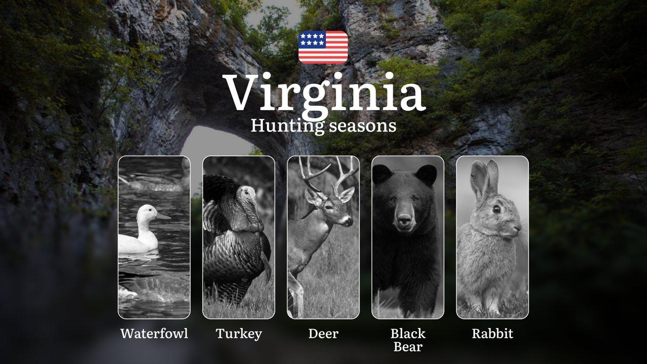 Hunting Seasons in Virginia, USA: Hunting Periods, Open and Close Dates, Licenses, Rules and Restrictions

Key Regulations and Hunting Dates for Turkey in Virginia

Hunti