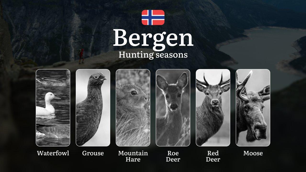 Hunting Seasons in Bergen: Restrictions, Bans, and Protected Species, Choosing Timing, Gear, and Tactics

Bergen’s breathtaking fjords and dense forests make it a fantast
