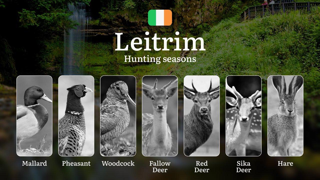 LEITRIM'S Hunting Seasons Unveiled: Essential Dates, Licenses, and Prime Game Pursuits in Ireland's Hidden Wilderness

General Hunting Rules and Seasons in Leitrim

Hunti