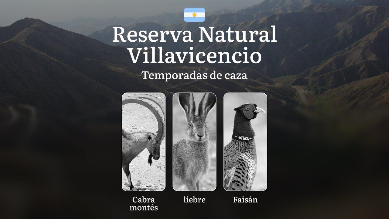 La Reserva Natural Villavicencio: fechas, licencias, normas y tácticas, características estacionales de la caza, multas y responsabilidades legales

¿Cuándo se puede caza