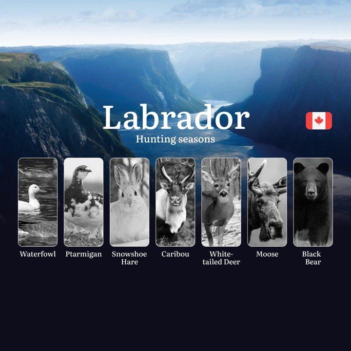 <strong>Hunting</strong> Seasons <strong>in</strong> LABRADOR: Opening and Closing Dates, Mandatory Licenses, Essential Rules, and the Most Promising <strong>Hunting</str