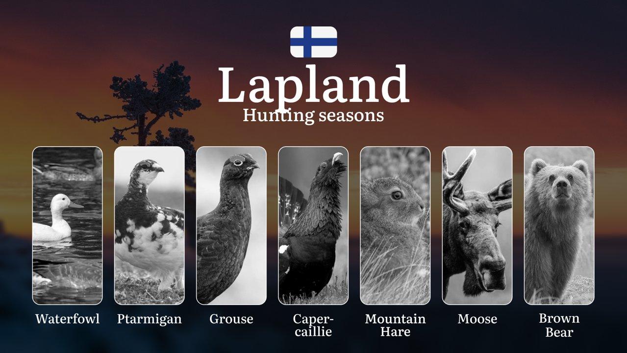 Hunting Seasons in Lapland: Key Hunting Periods, Restrictions and Protected Species, Required Licenses and Practical Recommendations

Lapland, Finland’s northernmost wild
