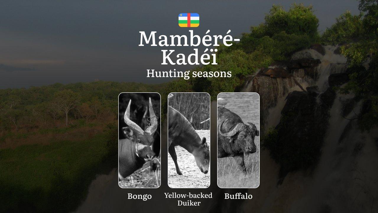 Hunting Through the Seasons in Mambéré-Kadéï: Rules, Permits & Cultural Events and Traditions