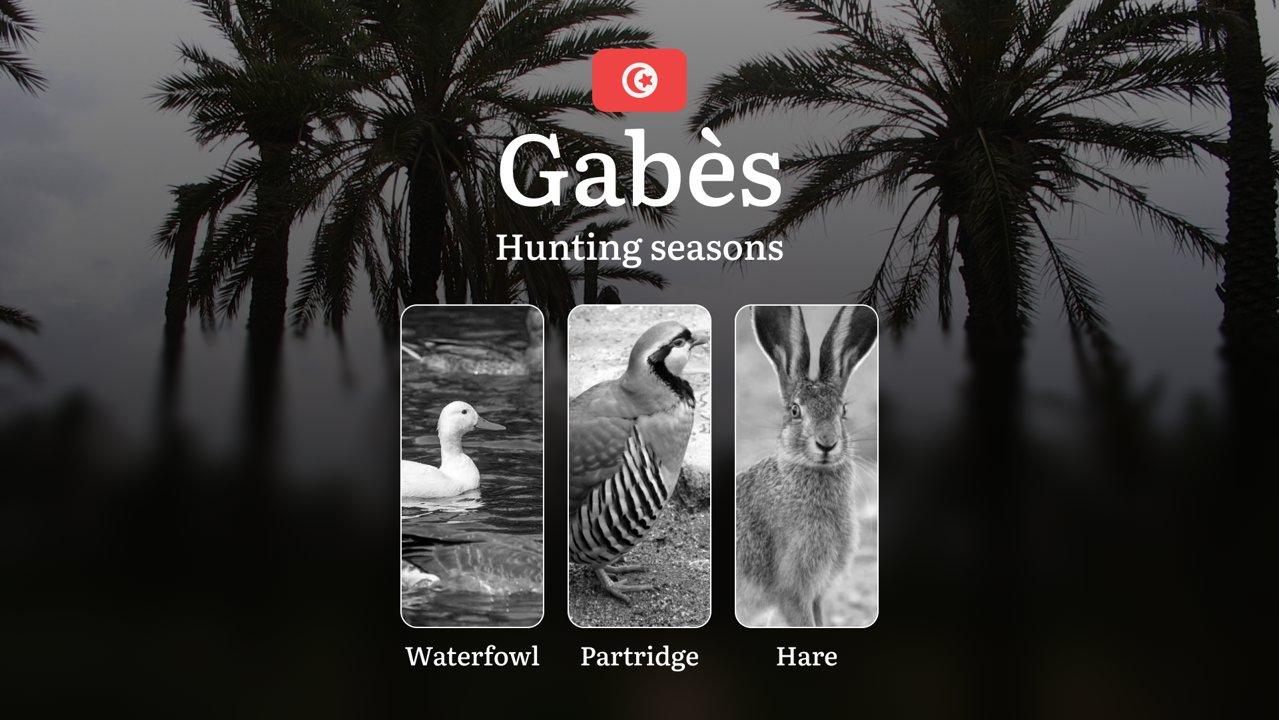 Hunting Seasons in GABÈS: General Rules, Optimal Hunting Periods, Protected Species, Licensing Requirements and Penalties for Violating Laws