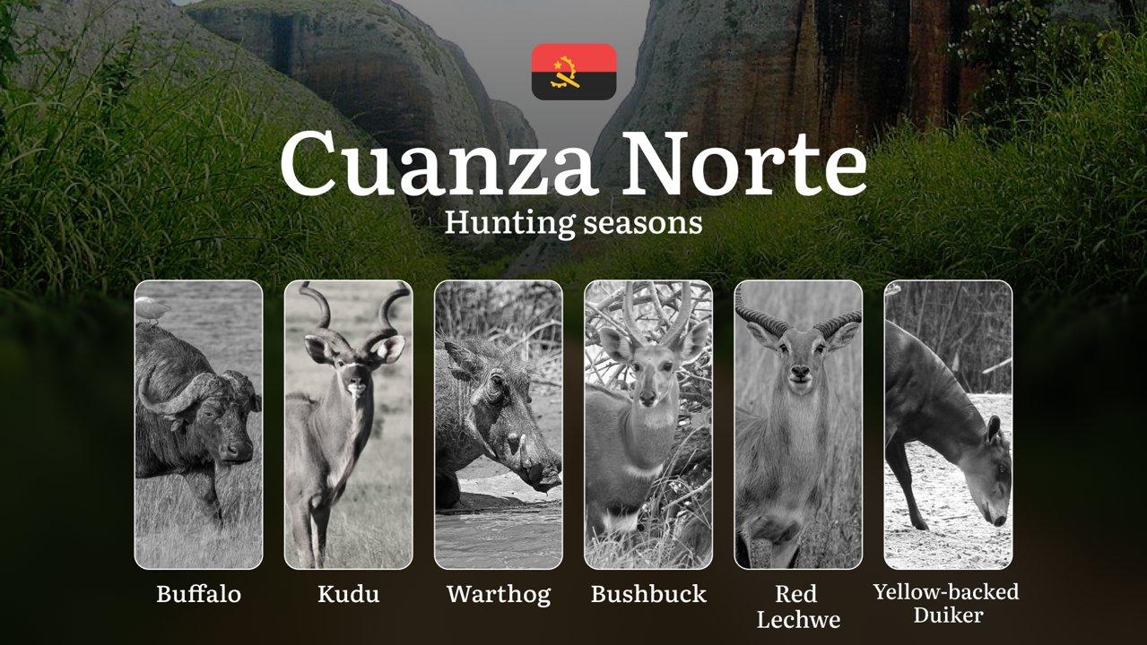 Hunting Laws and Seasons in Cuanza Norte: General Hunting Rules, Permits, Restrictions & Time-Honored Events 

General Hunting Rules and Seasons in Cuanza Norte

 The off