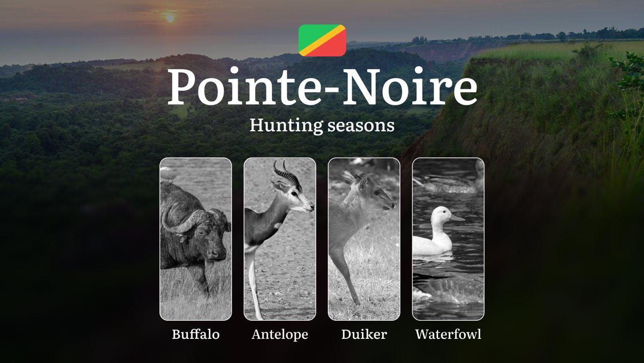 Seasons of Hunting in Pointe-Noire Region, Republic of the Congo: Time and Dates of Hunting, Periods and Tips for Hunters, Limits and Bans
