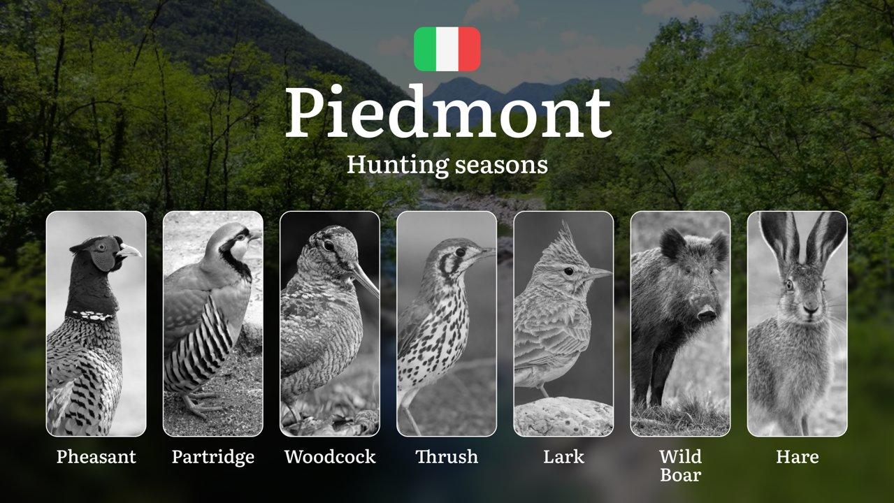 Piedmont Hunting Calendar: Elevation-Based Season Dates and Western Alps Trophy Tips

Piedmont, with its diverse landscapes ranging from the Alps to the Monferrato hills,