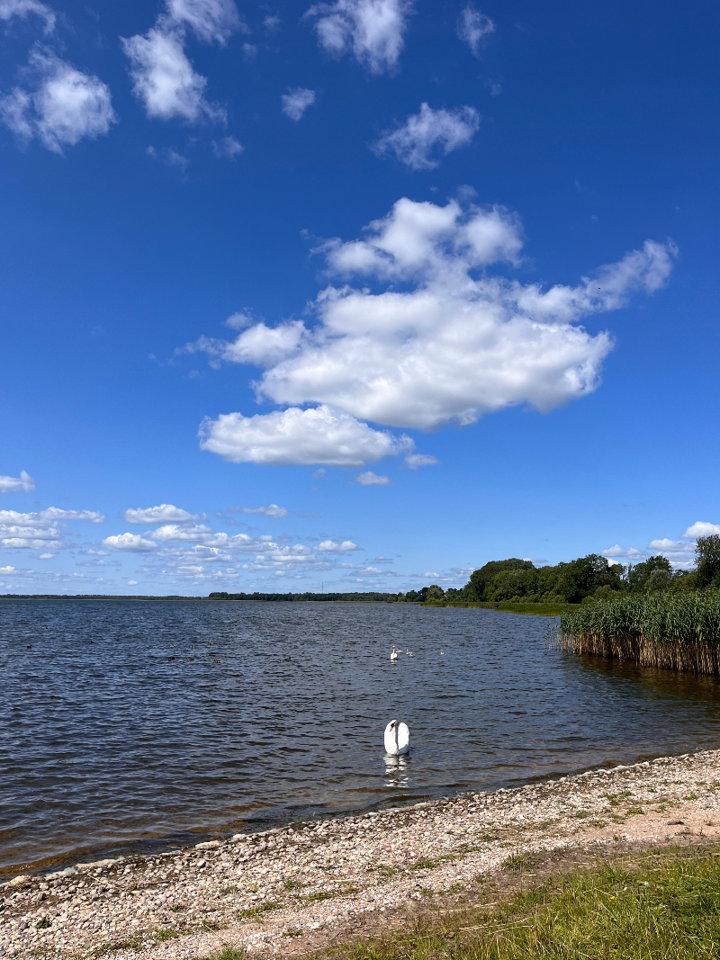 Post Card