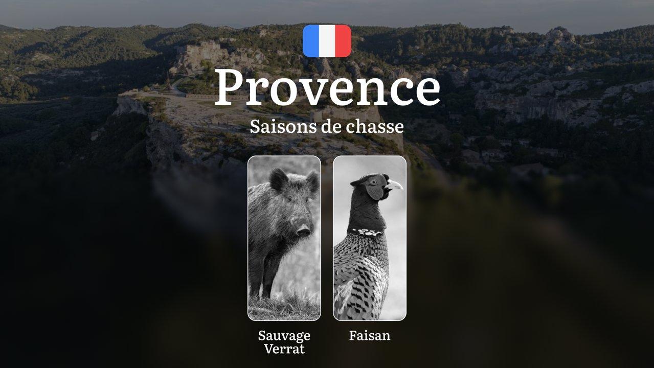 Saisons de Chasse en PROVENCE: Périodes Officiel, Réglementations Spécifiques, Particularités Saisonnières et Stratégies Optimales