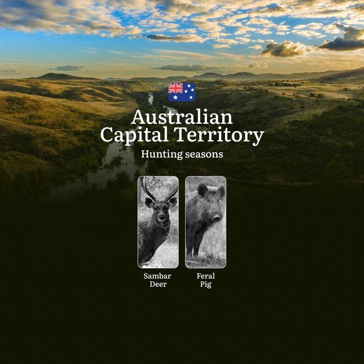 Tracking Calendar and Rules: A Hunter’s Insight into Hunting Opportunities in the <strong>Australian</strong> Capital Territory

Understanding Hunting Seasons and Wildlif