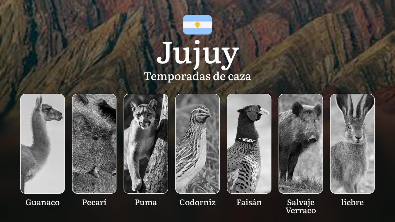 La provincia de Jujuy, Argentina: temporadas de caza, épocas, permisos, reglas y mejores momentos para cazar