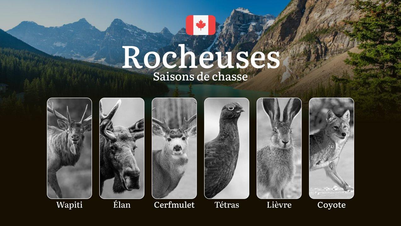 Saisons <strong>de</strong> chasse dans les ROCHEUSES canadiennes: périodes, réglementations à connaître 

Les Rocheuses canadiennes, avec leurs paysages époustouflants e