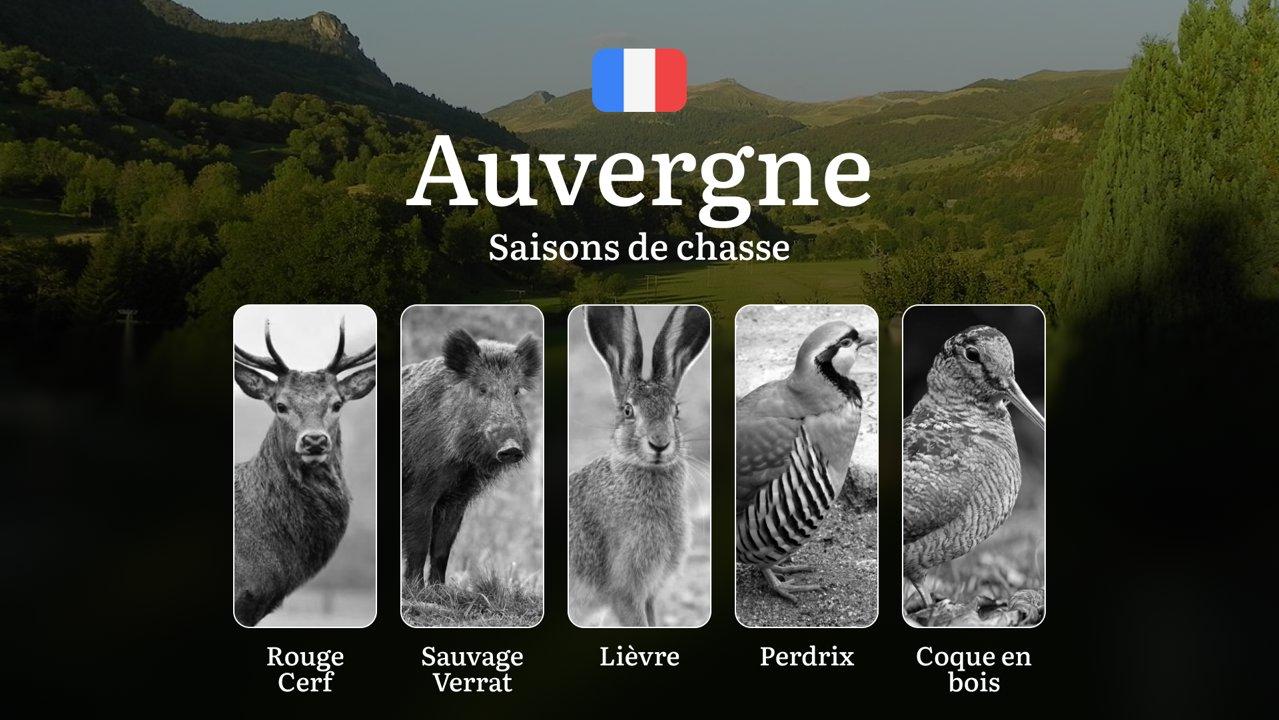 Saisons de Chasse en AUVERGNE: Calendrier Détaillé,  Interdictions, Obtention des Permis, Meilleures Périodes et Techniques de Chasse 