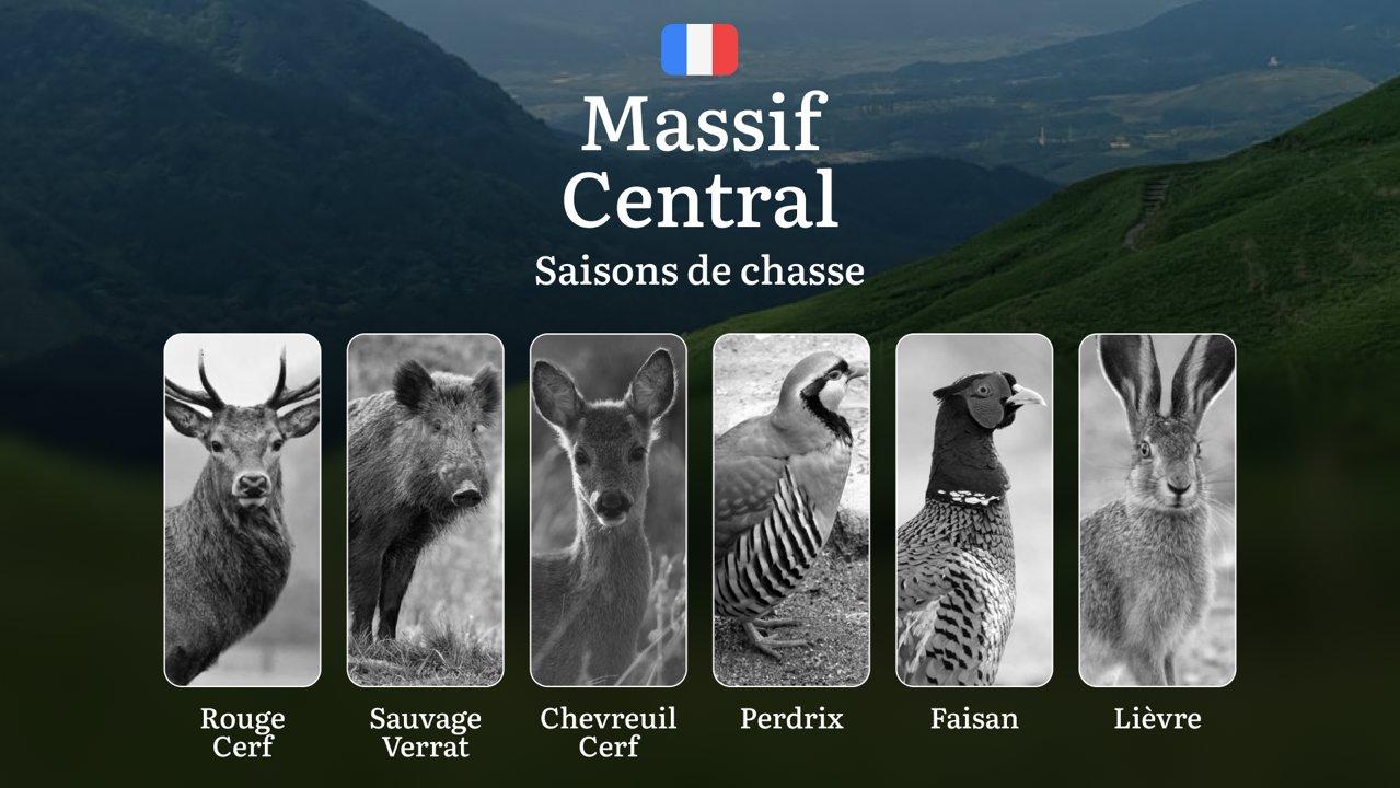 Saisons de Chasse dans le MASSIF CENTRAL: сalendrier complet, réglementation mise à jour,  restrictions à respecter et conseils pratiques