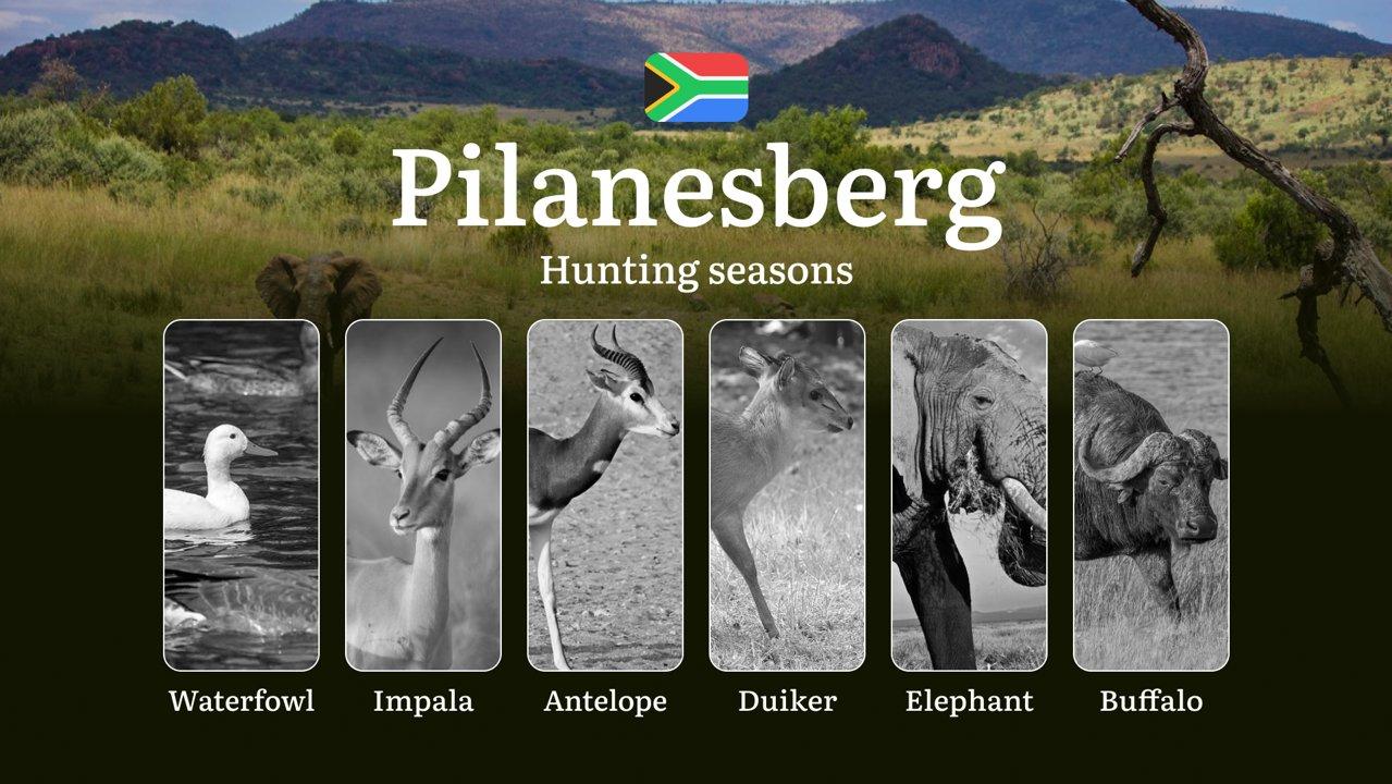 Hunting Timing in South Africa, Pilanesberg Region: Seasons, Rules and Regulations of Hunting, Permits and Tactics for Hunters

Pilanesberg Hunting Calendar

Hunting in t