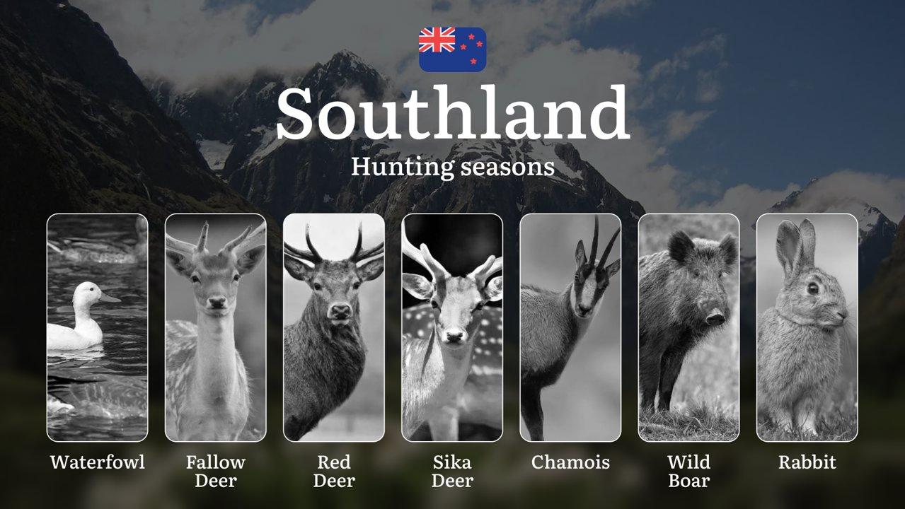 SOUTHLAND Region in New Zealand – Hunting Seasons, Rules, Licenses and Tips, Tactics, Gear, and Timing, Restrictions and Prohibitions

Regulation of Hunting Seasons in So