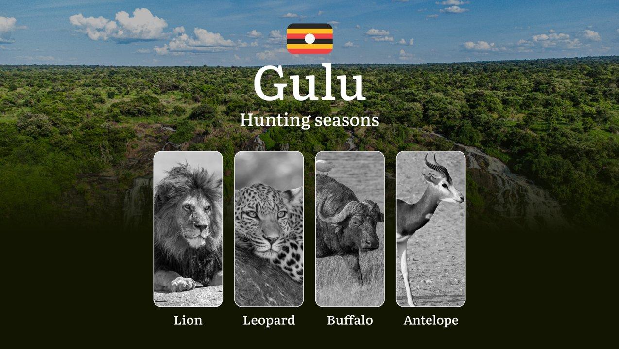 Permitted Hunting Intervals in Gulu: Year-Round Huntable Wildlife, Seasonal Migration of Game, and the Process for Securing a Legal Hunting Permit