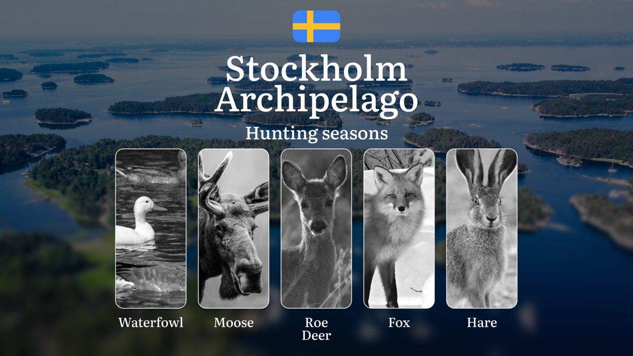 Hunting Periods and Permits in STOCKHOLM ARCHIPELAGO: A Detailed Look at Game Movement Throughout the Year, Seasonal Limits, and How to Apply for a Hunting License in the