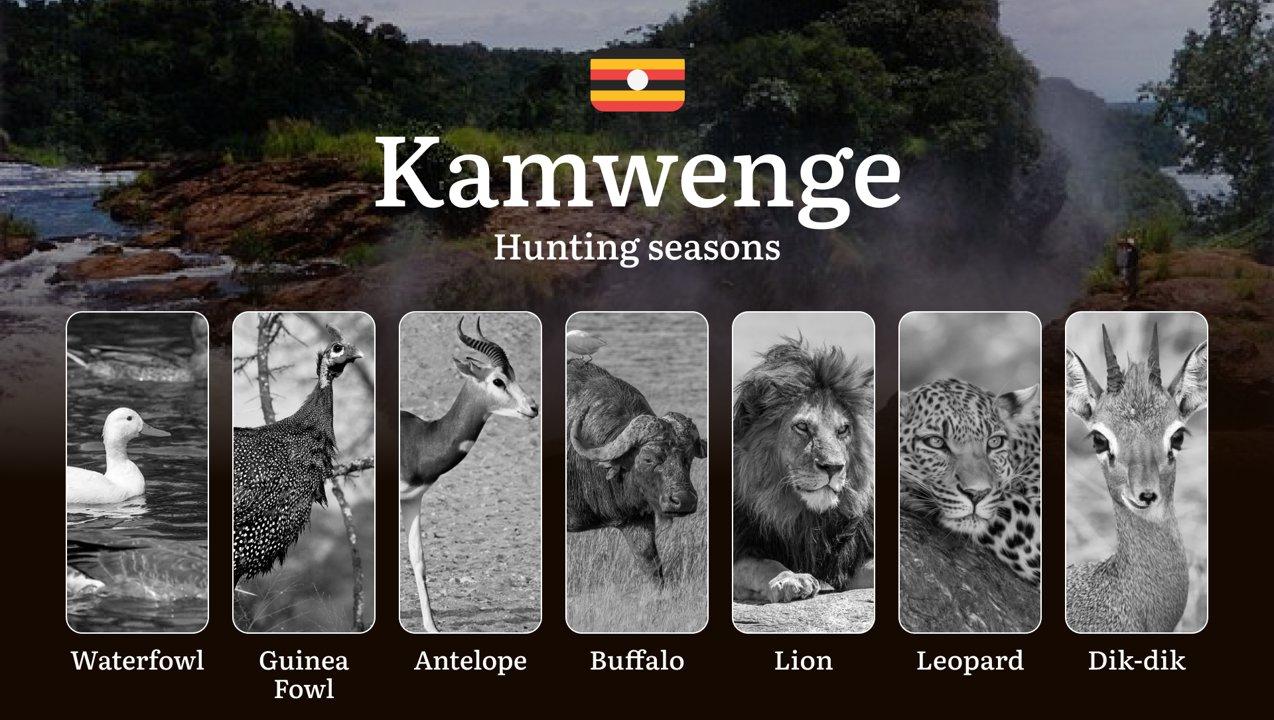 Scheduled Hunting Times in Kamwenge: Area Regulations, Steps to Obtain a Hunting License, Sanctions for Breaching Hunting Periods, Tips on Timing, Gear Selection, and Hunting Methods