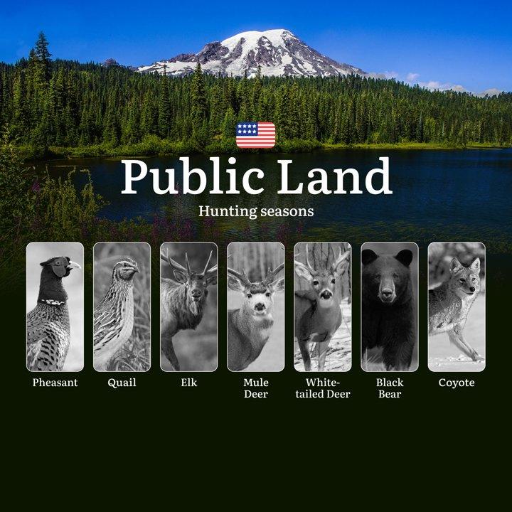 Hunting Seasons in the USA on Public Land: Seasonality of Hunting, Restrictions and Prohibitions, Tips for Hunters