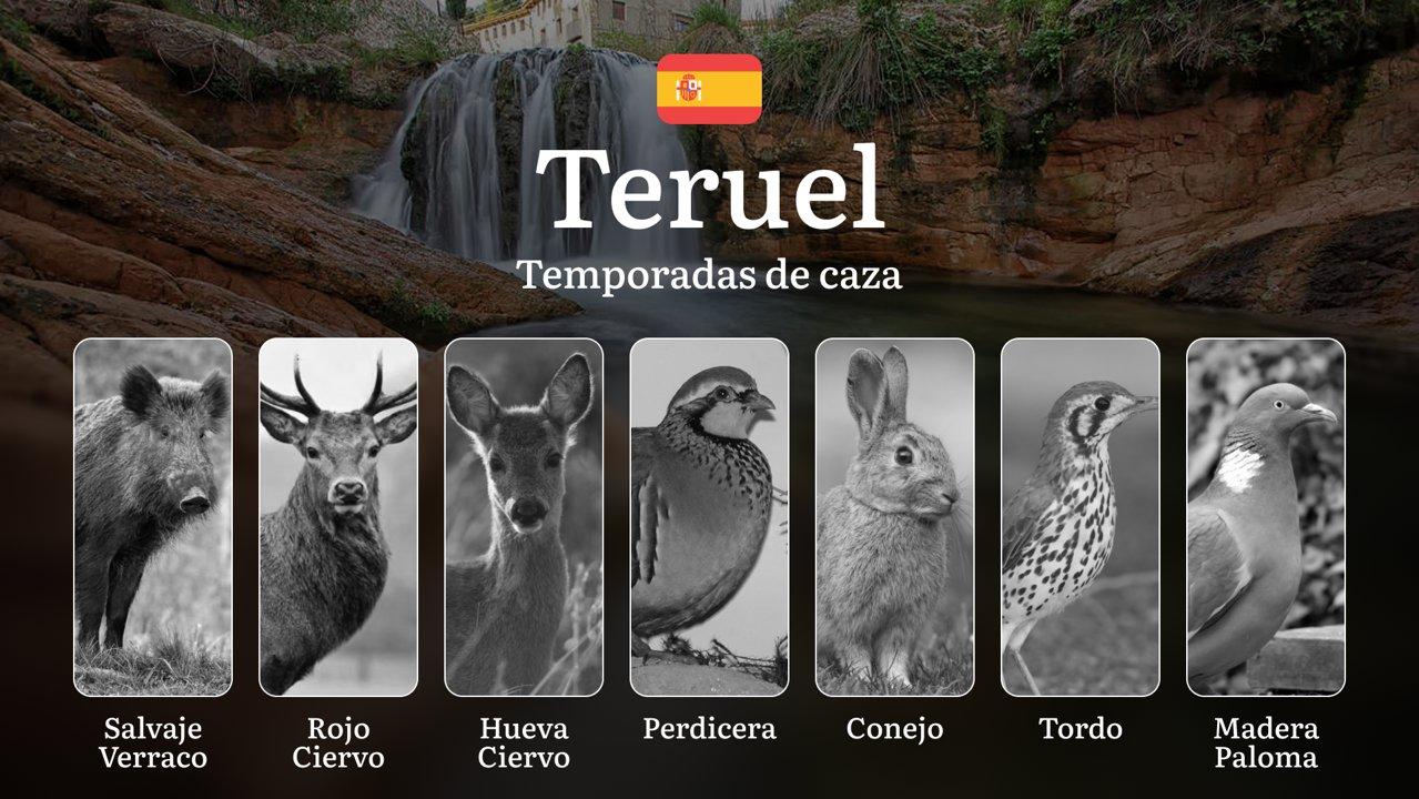Temporadas y períodos de caza en TERUEL: Fechas Oficiales, Licencias, Normas y Mejores Épocas para la Cacerí