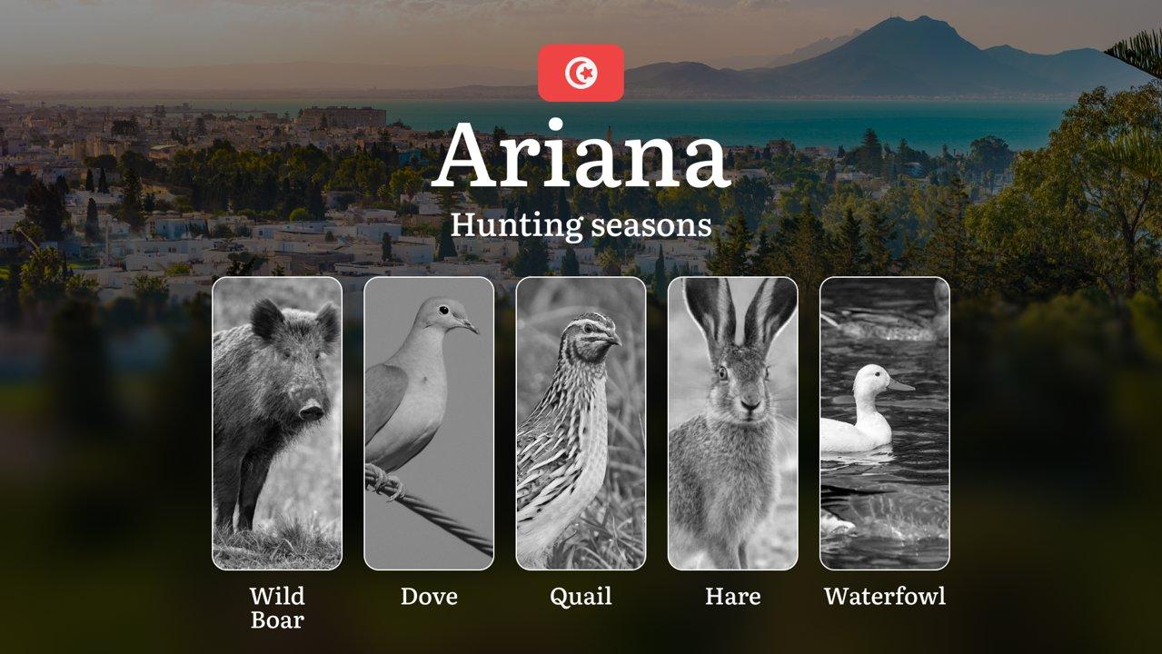 Hunting Seasons in ARIANA: General Rules, Key Periods, Protected Species, Legal Requirements and Tactical Tips