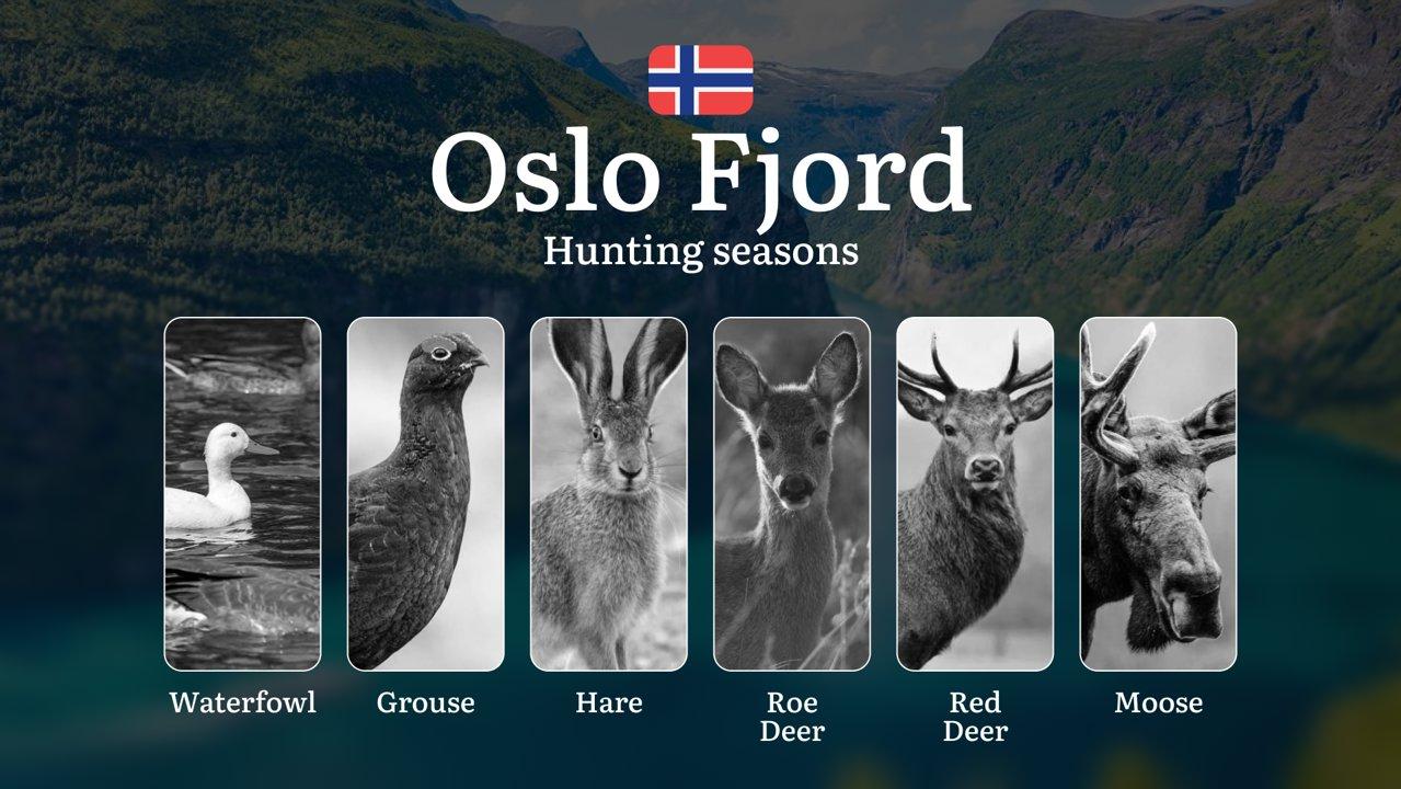 Hunting Seasons in Oslo Fjord: Restrictions, Bans, and Protected Species, Choosing Timing, Gear, and Tactics

 Oslo Fjord offers diverse hunting opportunities, with caref
