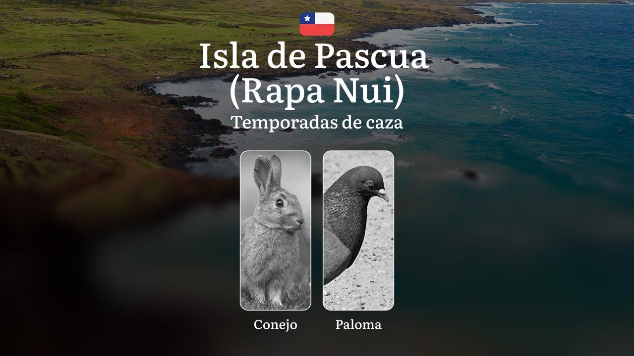 Fechas de caza en Chile en la Isla de Pascua (Rapa Nui): épocas de caza, permisos, normativas y mejores periodos para la caza