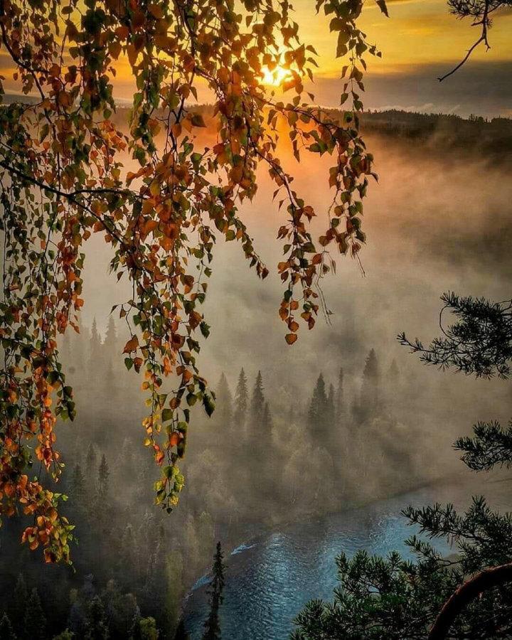 Красота 😍