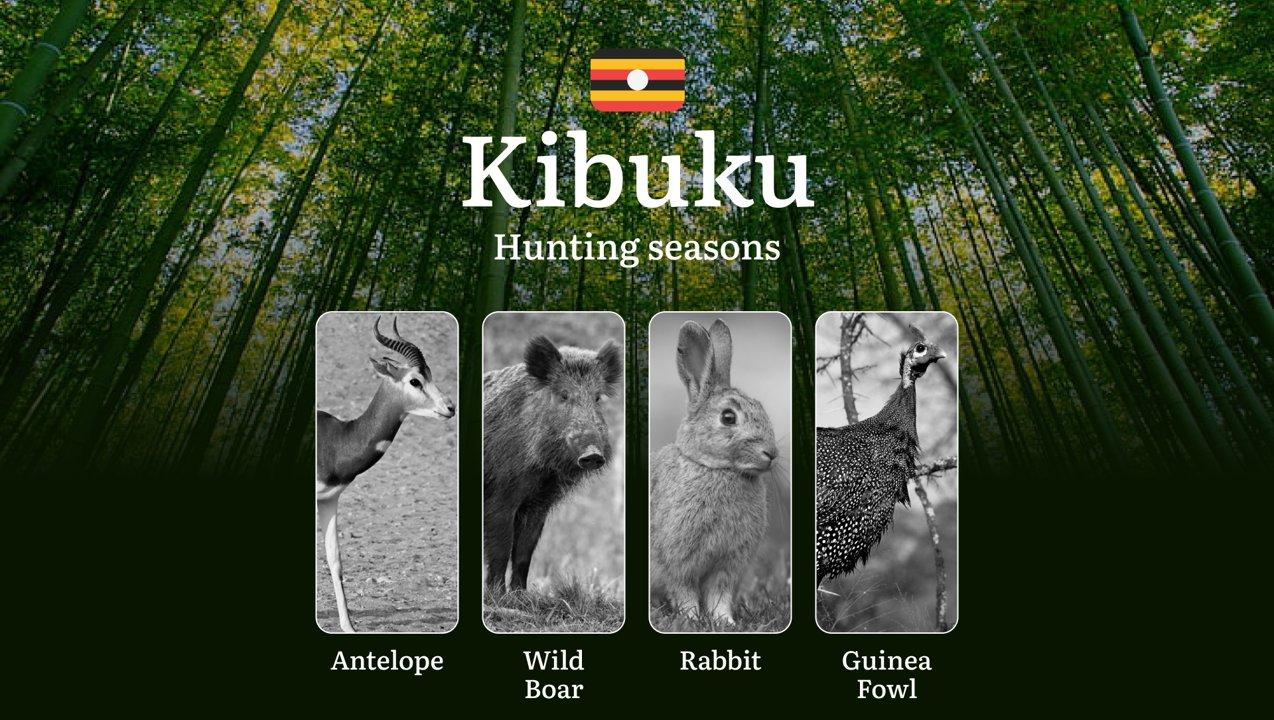 Kibuku: Designated Hunting Periods, Legal Limits, Licensing, Penalties, Planning, Timing, and Gear

Hunting in Kibuku is carefully regulated to balance conservation effor