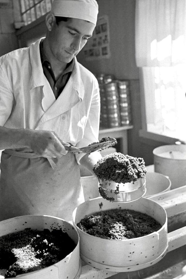 The photograph “Canning Black Caviar from Sturgeon Caught in the Volga River, Astrakhan, USSR, 1963” by renowned Soviet photojournalist Valery Shustov is far more than a 